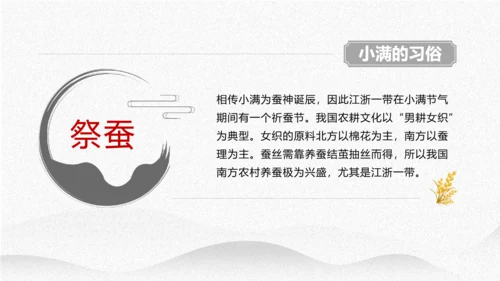 小满节气介绍PPT模板