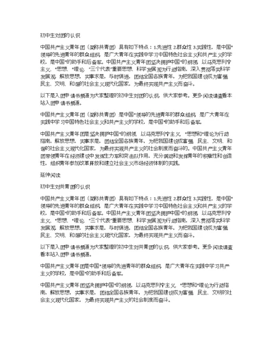 初中生对团的认识