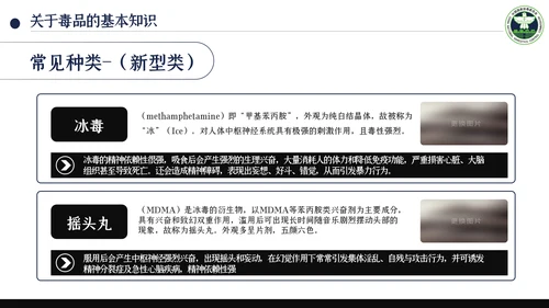 国际禁毒日珍爱生命远离禁毒教育知识PPT模板