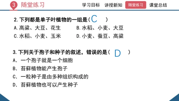 3.1.2  种子植物（课时1 种子的结构）课件-2023-2024学年人教版生物七年级上册(共24
