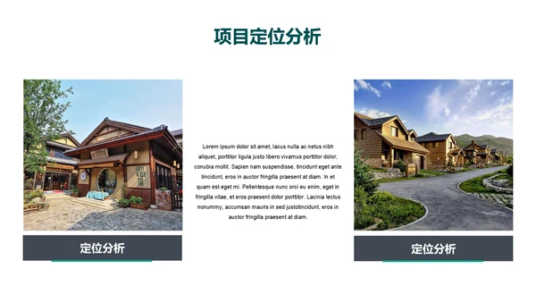 农村特色小镇项目计划书通用PPT模板