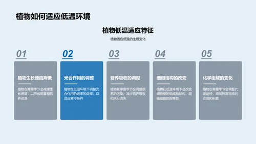 寒露生物适应特征PPT模板