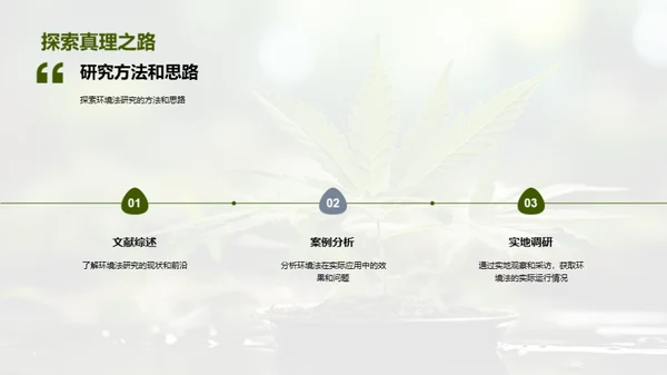 探索环境法之路