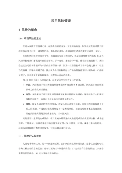 工程项目风险管理概述.docx