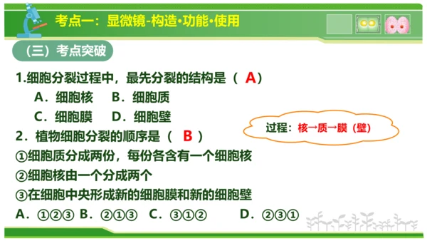 第三章从细胞到生物体（串讲课件）-七年级生物上学期期中考点大串讲（人教版2024）(共40张PPT)