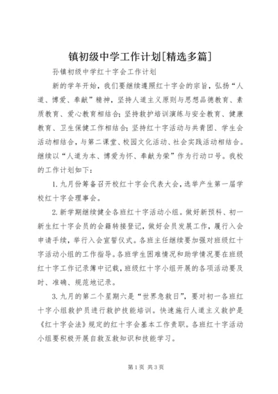 镇初级中学工作计划[精选多篇] (2).docx