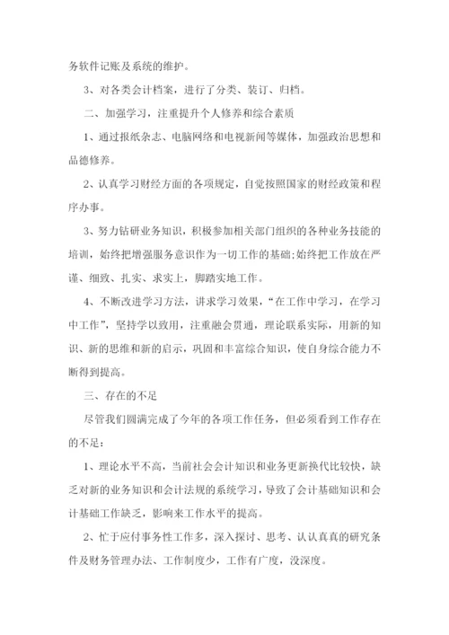 公司财务会计工作计划.docx