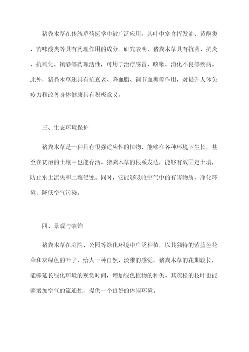 猪粪木草的功效和作用