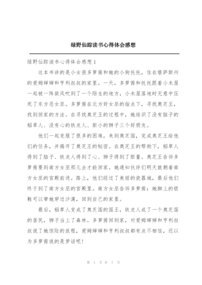 绿野仙踪读书心得体会感想.docx