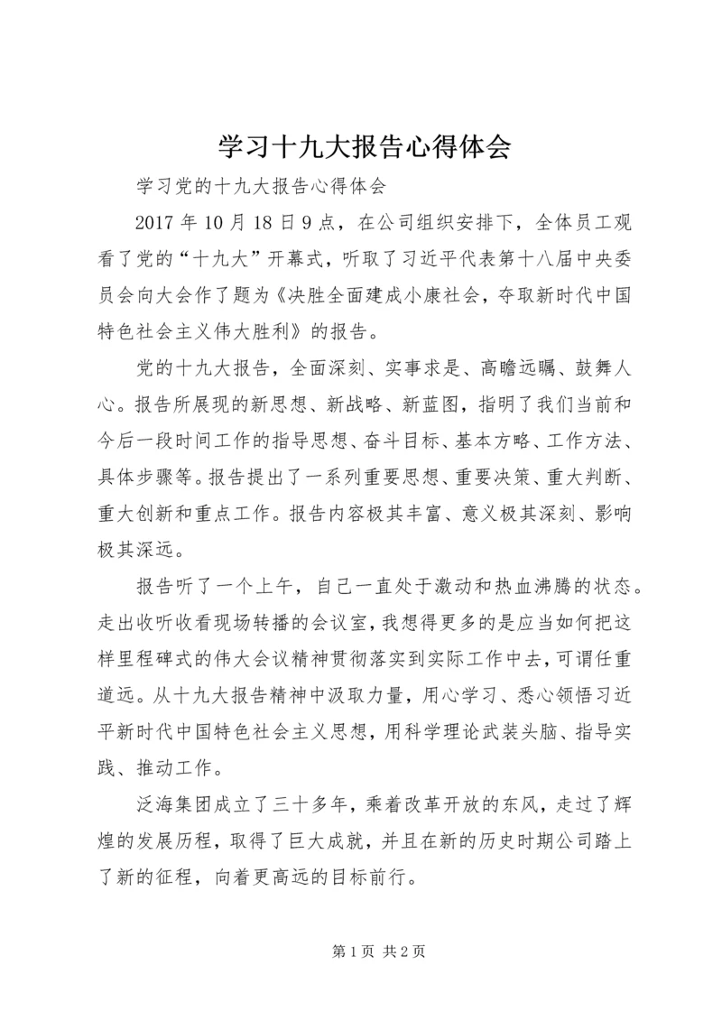 学习十九大报告心得体会_2 (5).docx