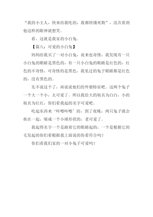 小白兔作文150字.docx