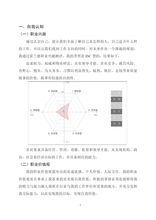 13页5200字物理专业职业生涯规划.docx