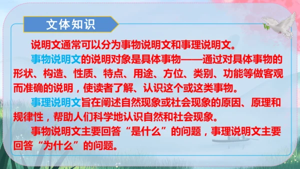 5《大自然的语言》课件