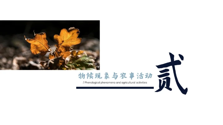 瓷青色简约风寒露节气PPT模版