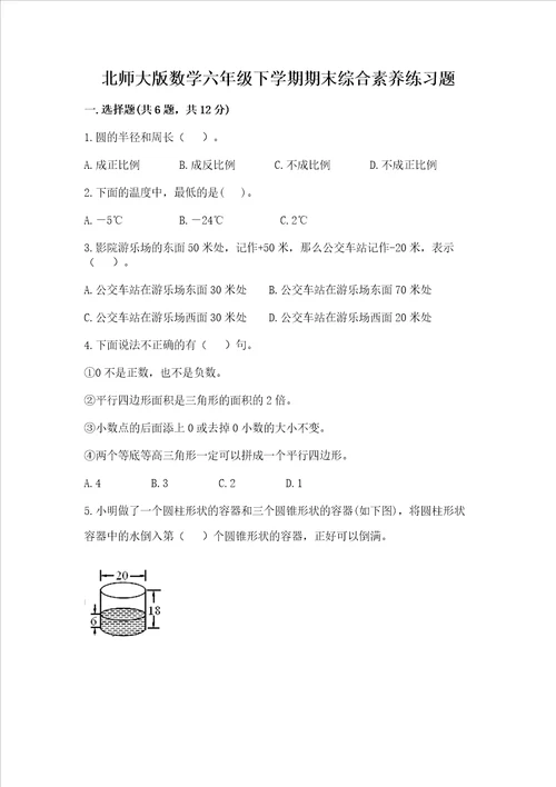 北师大版数学六年级下学期期末综合素养练习题附参考答案（预热题）