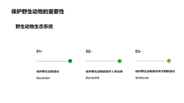 野生守护：我们的使命