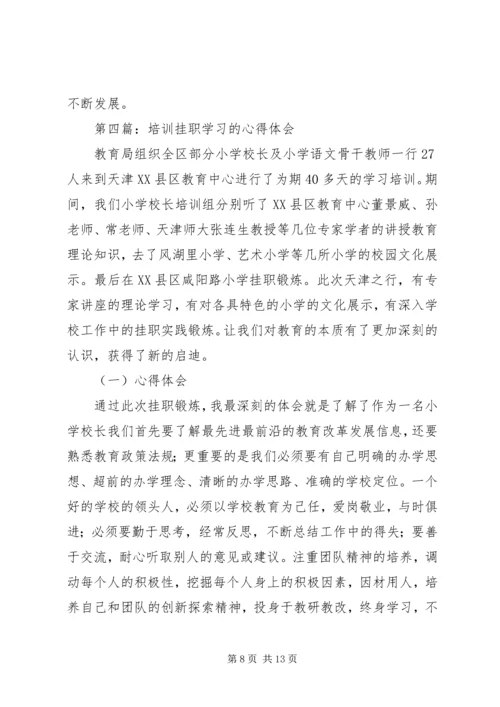 国税局挂职学习培训心得体会(精选多篇).docx