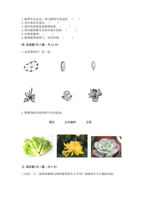 教科版科学一年级上册第一单元《植物》测试卷【满分必刷】.docx