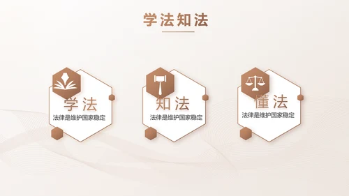 简约大气法律知识工作汇报动态PPT