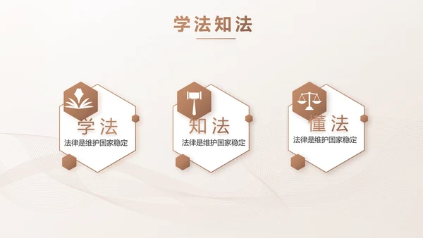 简约大气法律知识工作汇报动态PPT