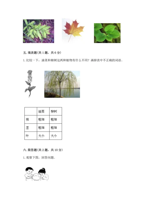 教科版科学一年级上册第一单元《植物》测试卷（考试直接用）word版.docx