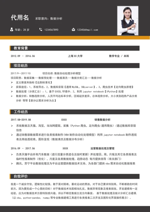 大气数据分析师个人简历模板word通用简历
