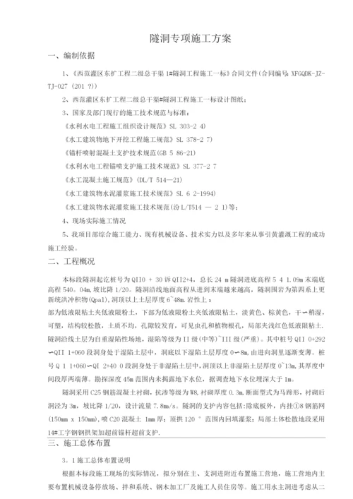 隧洞专项施工方案.docx