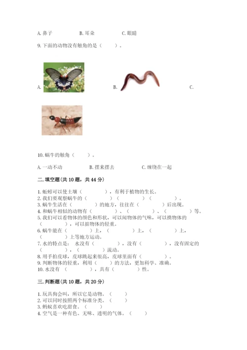 教科版一年级下册科学期末测试卷及答案（基础+提升）.docx