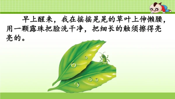 《11.我是一只小虫子》第一课时 课件