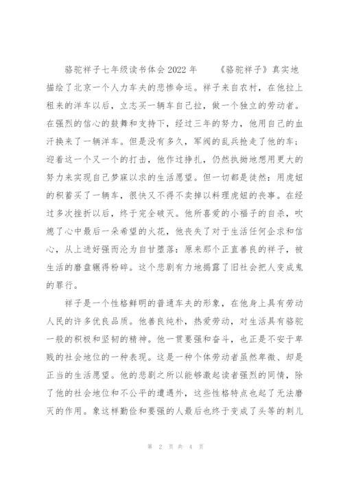 骆驼祥子七年级读书体会2022年.docx