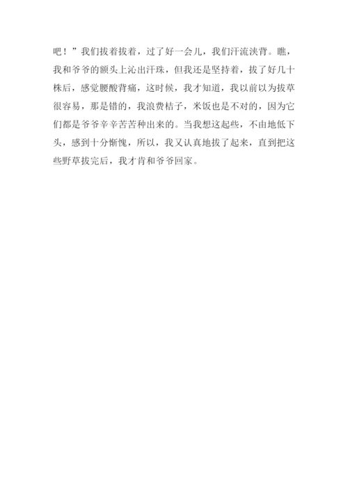 拔草作文200字0.docx