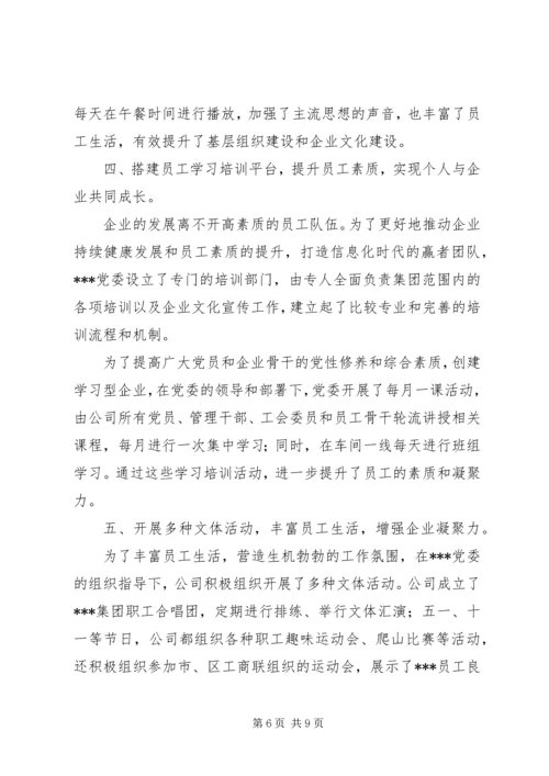 某集团公司党建工作纪实.docx