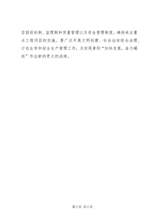 年林业工作计划 (3).docx