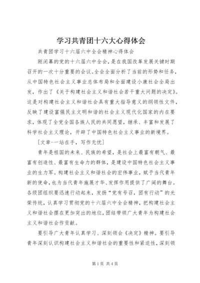 学习共青团十六大心得体会 (5).docx