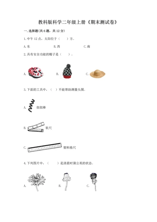 教科版科学二年级上册《期末测试卷》含完整答案（典优）.docx