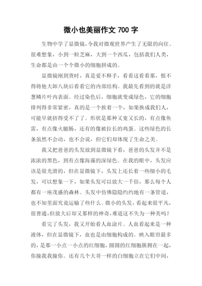 微小也美丽作文700字.docx