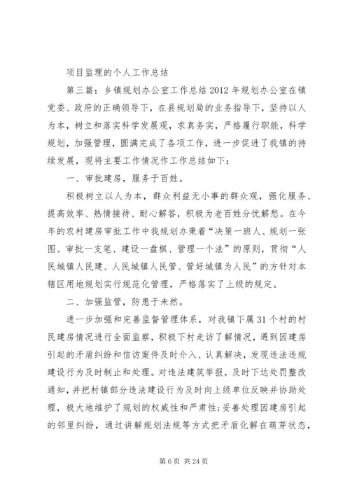 乡镇规划办公室工作总结.docx