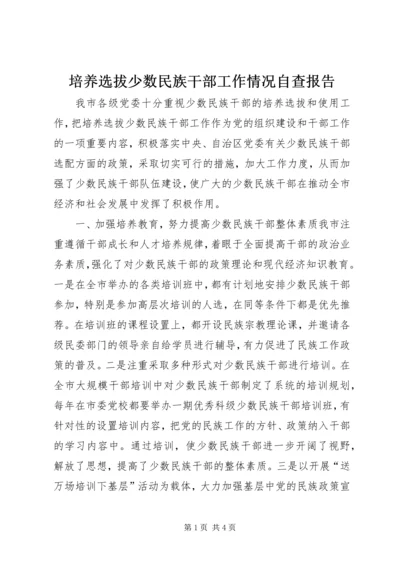 培养选拔少数民族干部工作情况自查报告.docx