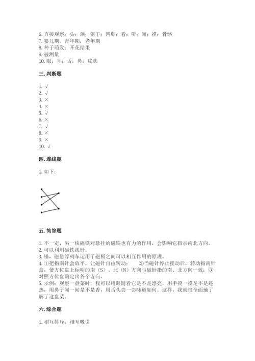 教科版小学科学二年级下册期末测试卷【考点精练】.docx