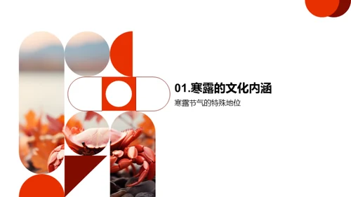 寒露节气文化探究