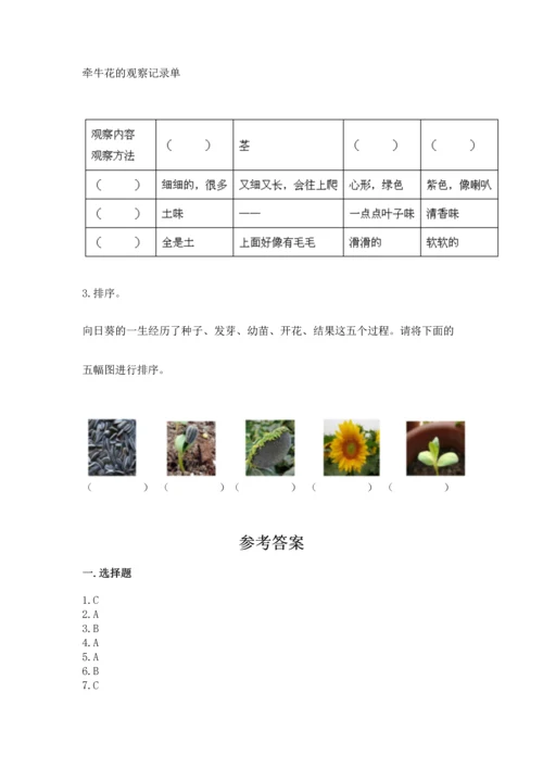 教科版一年级上册科学期末测试卷附完整答案【全国通用】.docx