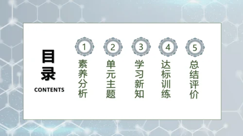 【核心素养】部编版语文四年级下册-7.纳米技术就在我们身边 第2课时（课件）