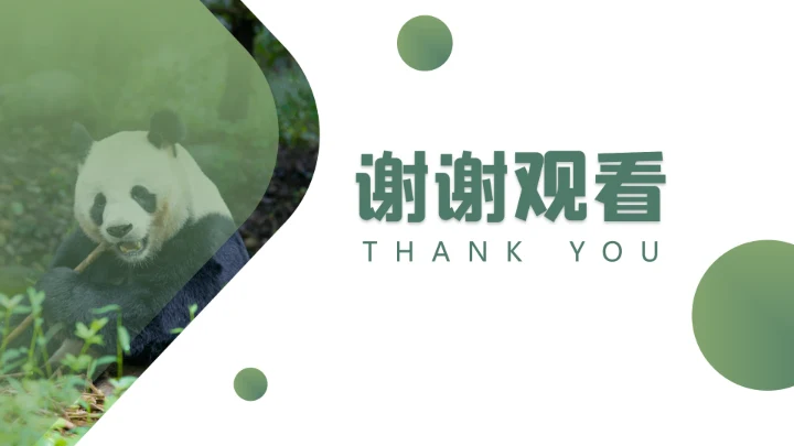 人与自然大熊猫活动宣传通用PPT模板