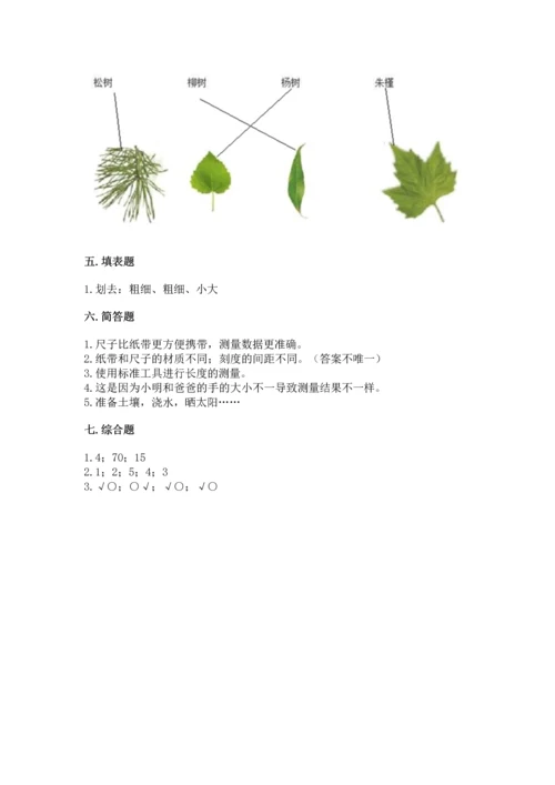 教科版一年级上册科学期末测试卷精品（典型题）.docx