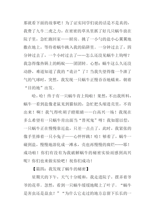 我发现了蜗牛的秘密作文350字.docx