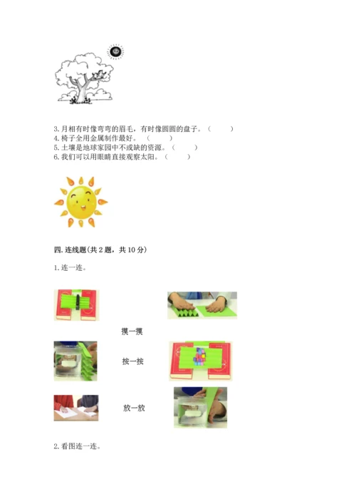 教科版科学二年级上册《期末测试卷》（名师推荐）.docx