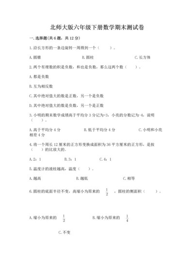 北师大版六年级下册数学期末测试卷精品【基础题】.docx