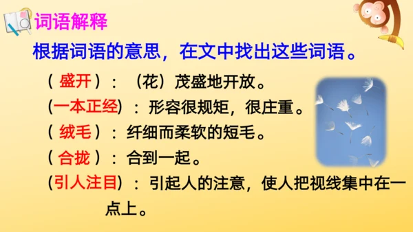 16 金色的草地  课件
