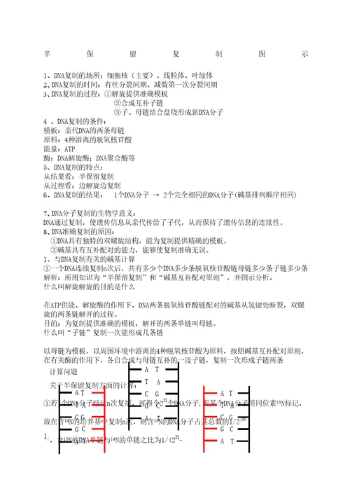 自制DNA复制知识点推荐