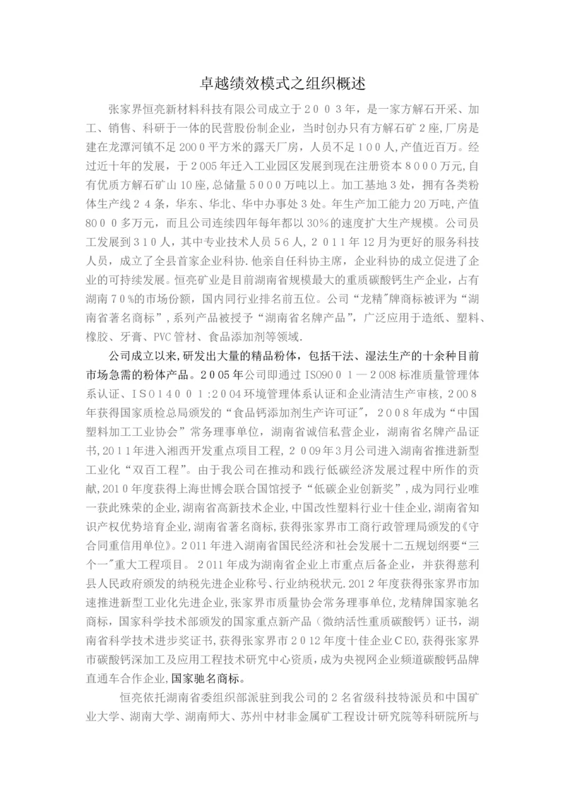 卓越绩效模式组织概述.docx